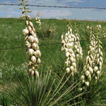 Fort Pierre National Grassland Visitor Map Preview 3