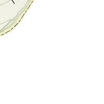 KyTopo (N10E35): Kavanaugh, Kentucky - 24k Preview 3