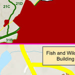 Fort Walker Fishing Preview 2