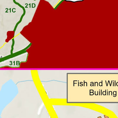 Fort Walker Fishing Preview 2