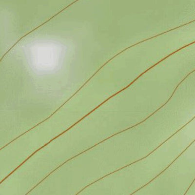 Buck Mountain Long Lake NY Preview 2