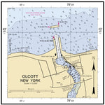 Olcott New York Preview 1