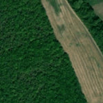 05. Дністровське водосховище (с. Березівка). Карта глибин Preview 2