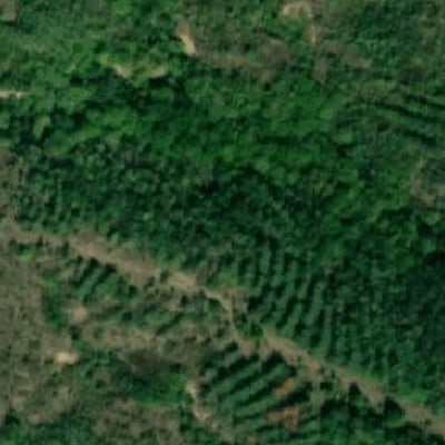 09. Дністровське водосховище (р. Ушиця, с. Губарів). Карта глибин Preview 3