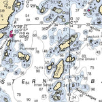 Quoddy Narrows To Petit Manan Island Maine Preview 3