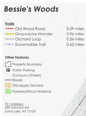 Bessie's Woods Preview 2