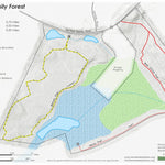 Gutierrez Family Forest Preview 1