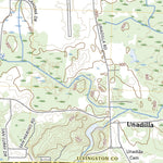 Gregory, MI (2023, 24000-Scale) Preview 2
