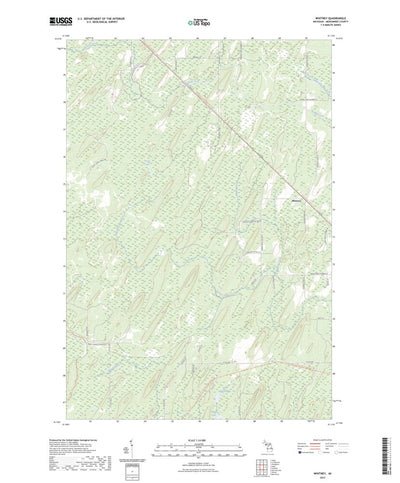 Whitney, MI (2023, 24000-Scale) Preview 1