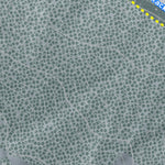 Mt Baker Resort Preview 3