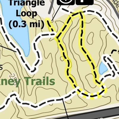 Ruth Marshall Forest & Stickney Trails, Atkinson & Hampstead, NH Preview 3