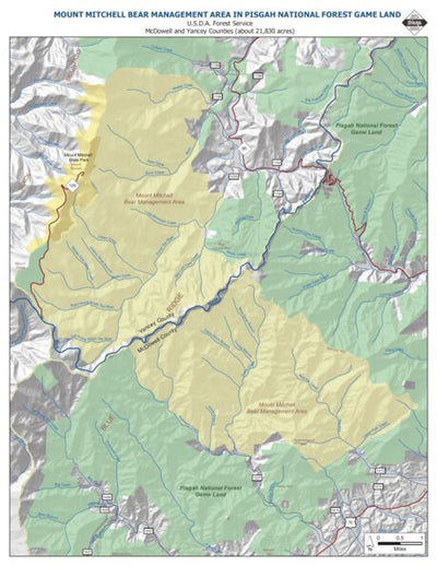 Mount Mitchell Bear Management Area Preview 1