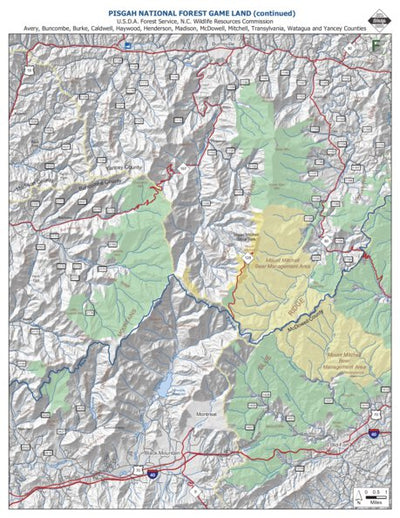 Pisgah Game Land F Preview 1