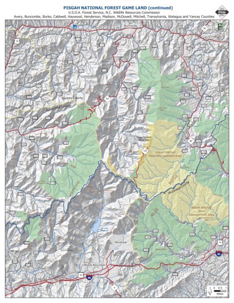 Pisgah Game Land F Preview 1