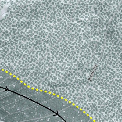 Mount Snow Resort Preview 3