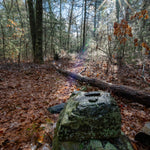 Wildlands Trust - Crystal Spring Preserve - Plainville, MA Preview 1