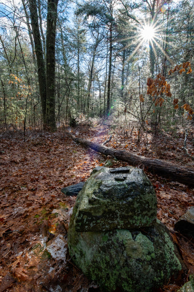 Wildlands Trust - Crystal Spring Preserve - Plainville, MA Preview 1