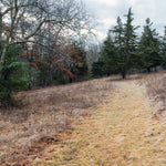 Wildlands Trust - Crystal Spring Preserve - Plainville, MA Preview 2