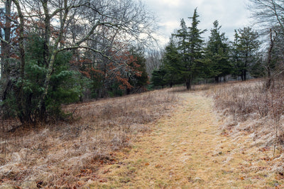Wildlands Trust - Crystal Spring Preserve - Plainville, MA Preview 2