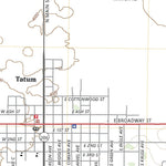 Tatum North, NM (2023, 24000-Scale) Preview 3