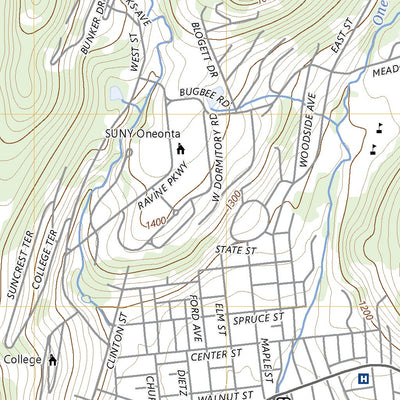 Oneonta, NY (2023, 24000-Scale) Preview 3
