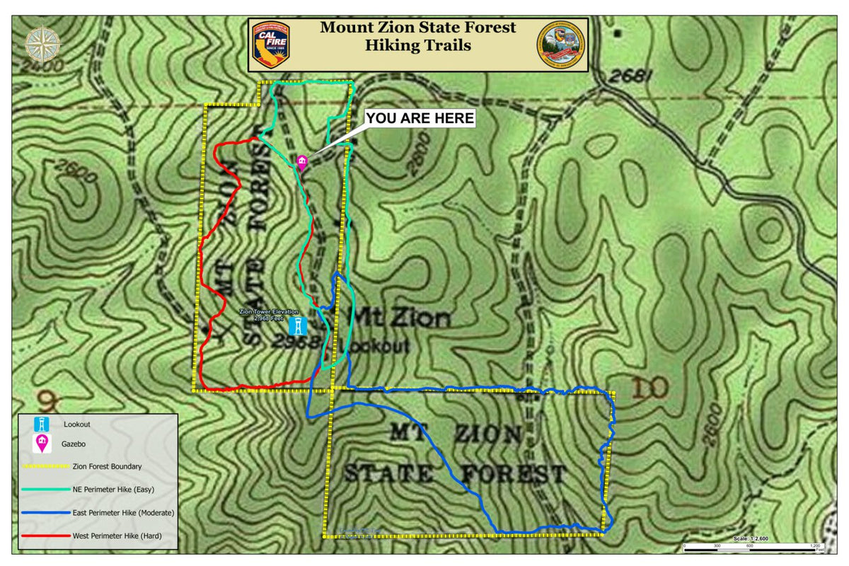 Mount Zion State Forest Pine Grove CA Map by California Department of ...