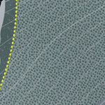 Pass Powderkeg Resort Preview 3