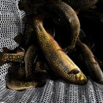 Fort Drum 2023 Fish Stocking Locations Preview 3