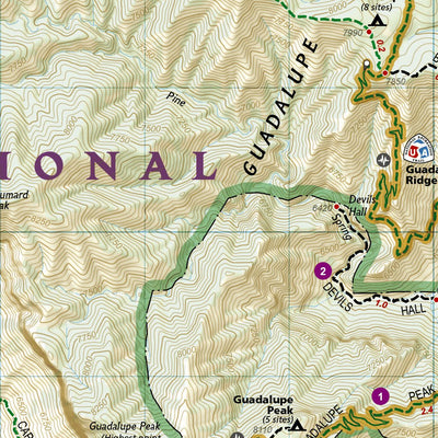 203 Guadalupe Mountains National Park (south side) Preview 2