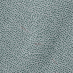 Revelstoke Resort Preview 3