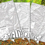Bryson City Collection - GSMNP - Fly Field Guides Preview 1