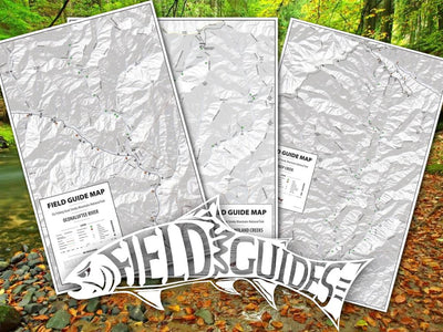 Bryson City Collection - GSMNP - Fly Field Guides Preview 1