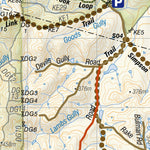 Mount Crawford Forest Preview 3