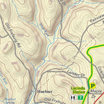 AVENZA Cook Forest West Preview 3