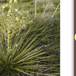 Cibola National Forest, Kiowa National Grassland (East) Preview 3