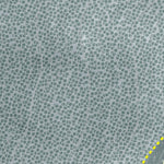 Whitefish Mountain Resort Preview 3