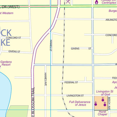 Orlando (Florida) 1:10,000 - ITMB Preview 2