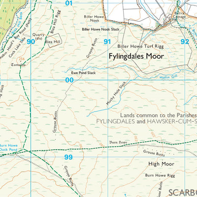 North Yorkshire 7 (1:25,000) Preview 2