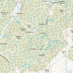 Hawick and Hermitage Ward 1 (1:25,000) Preview 3