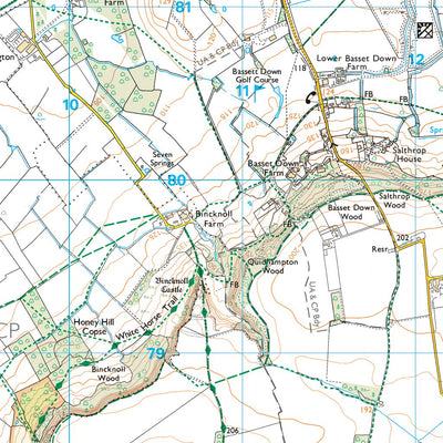 Wroughton and Wichelstowe Ward 1 (1:25,000) Preview 2