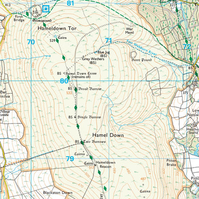 Dartmoor Ward 1 (1:25,000) Preview 2