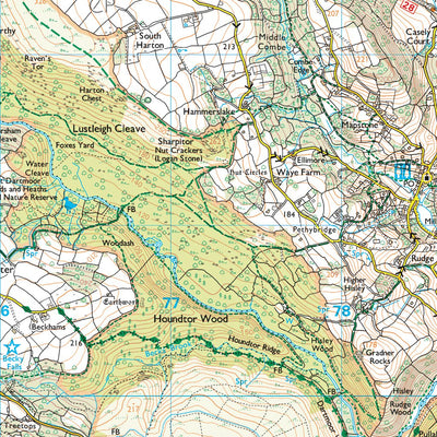 Dartmoor Ward 1 (1:25,000) Preview 3