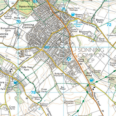 Woodcote & Rotherfield Ward 1 (1:25,000) Preview 2
