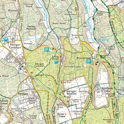Mickleham, Westcott & Okewood Ward 1 (1:25,000) Preview 3