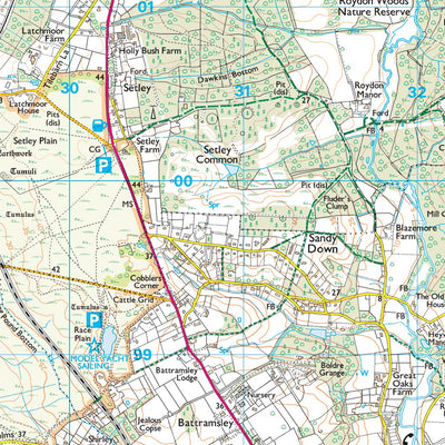 Brockenhurst & Denny Lodge Ward 1 (1:25,000) Preview 2