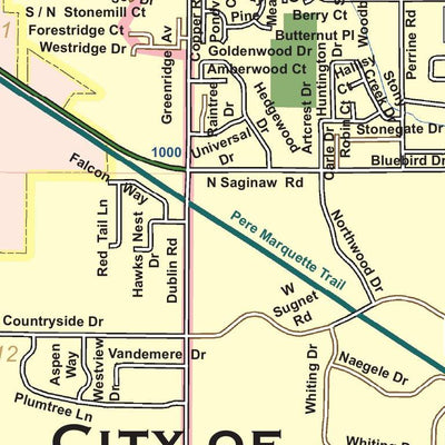 Midland County, Michigan - Complete Township Maps Preview 3