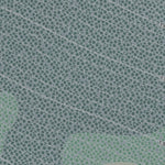 Kicking Horse Resort Preview 3