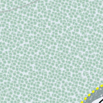 Mount Fairweather Resort Preview 3