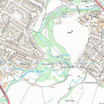 Bannockburn Ward 1 (1:10,000) Preview 2