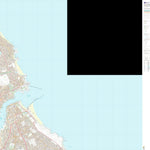 Tynemouth Ward 1 (1:10,000) Preview 1